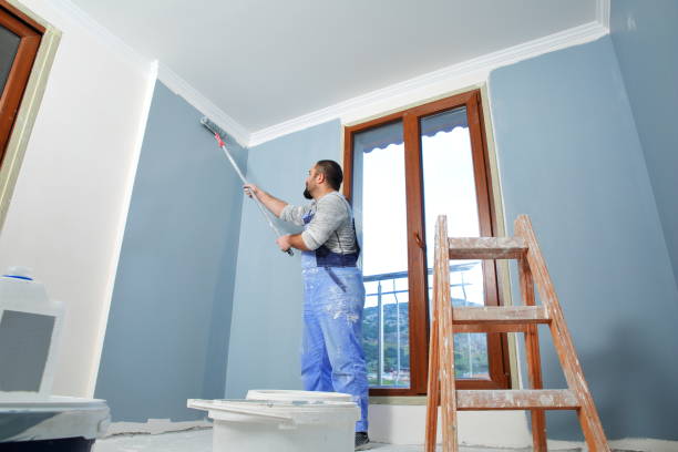 Best Touch-Up Painting  in Mounds View, MN