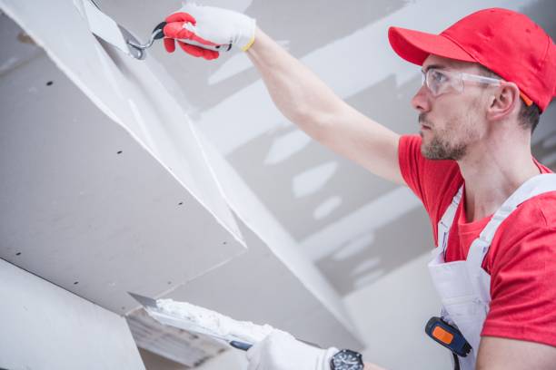 Best Fire-Damaged Drywall Repair  in Mounds View, MN